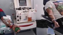 El Hospital General de Ciudad Real se sumará en los próximos días al ensayo clínico para tratar el COVID-19 con plasma hiperinmune