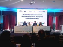 El IDISCAM, presente en el congreso internacional CIBER sobre retos y avances en ciencia biomédica de enfermedades neurodegenerativas